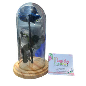 Inmortalizada Rosa Azul