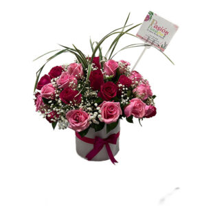 Rosa Roja Rosa Fucsia